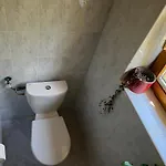 Chaloupka V Lese U Kutne Hory シャレー