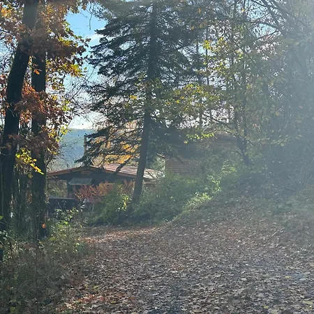 Chalet Chaloupka v lese u Kutné Hory