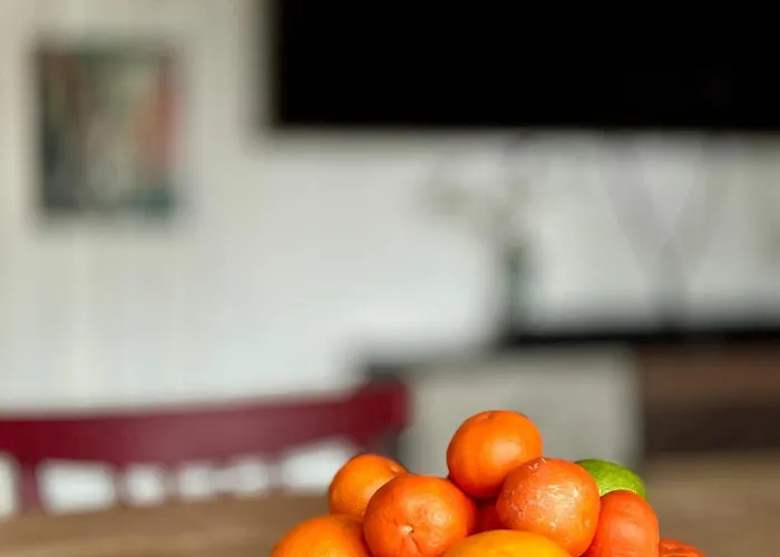 Chaloupka v lese u Kutné Hory * Barchovice