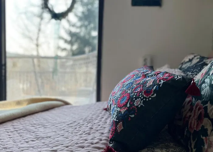 Chaloupka v lese u Kutné Hory * Barchovice