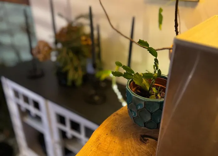 Chaloupka v lese u Kutné Hory Chalet Barchovice