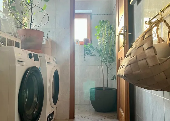 Chaloupka V Lese U Kutne Hory