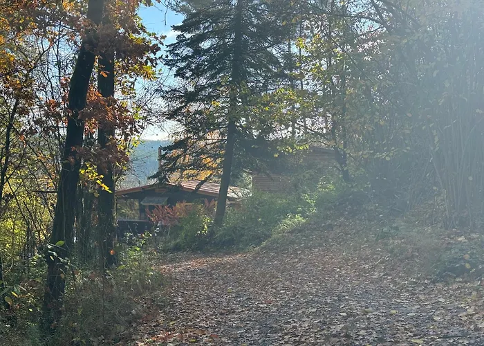 Chalet Chaloupka v lese u Kutné Hory