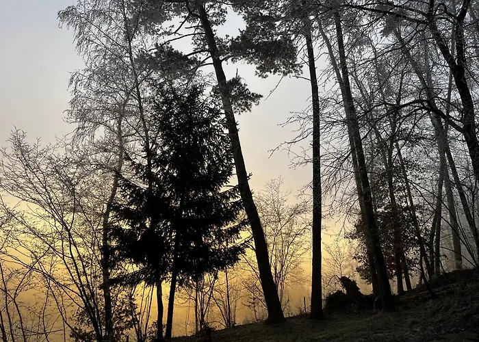 Chalet Chaloupka v lese u Kutné Hory