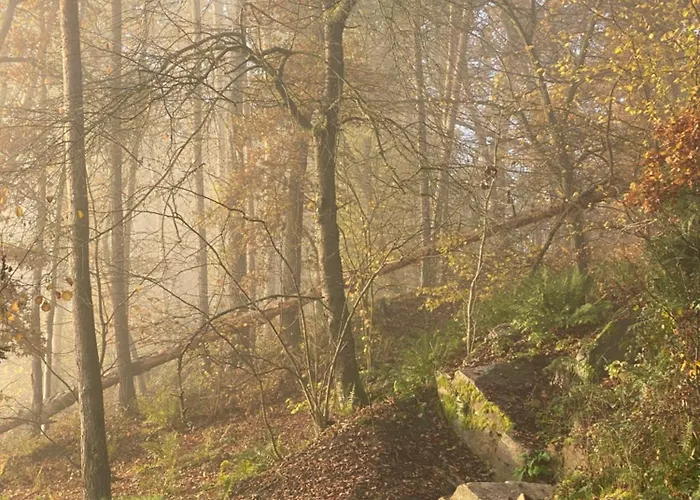 Chalet Chaloupka v lese u Kutné Hory Barchovice