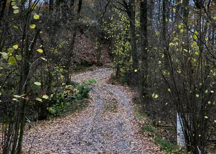 Chaloupka v lese u Kutné Hory Chalet