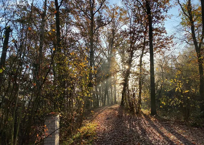 Chaloupka V Lese U Kutne Hory בקתה