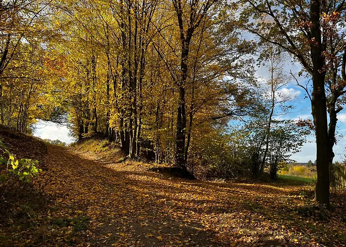 Chaloupka v lese u Kutné Hory Chalet Barchovice