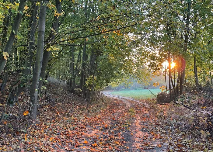 בקתה Chaloupka V Lese U Kutne Hory Barchovice